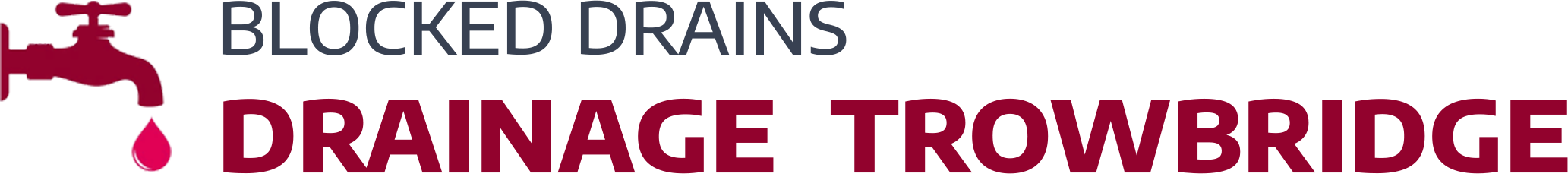 website logo